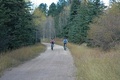 Mickelson Trail Trek Tour in Custer (2) Mickelson Trail Trek Tour in Custer (2)